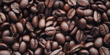 Bere il caffè al momento giusto può allungare la vita: lo conferma uno studio
